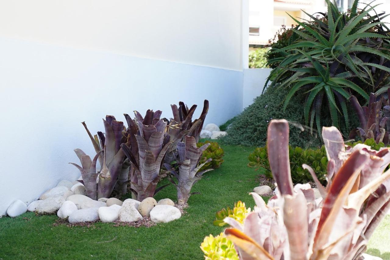 Villa Mateus อัลวอร์ ภายนอก รูปภาพ